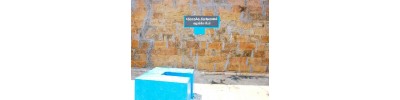 124. திருவீழிமிழலை
